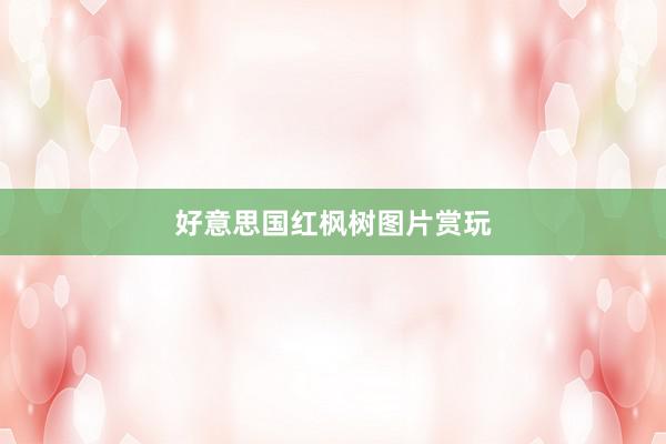 好意思国红枫树图片赏玩