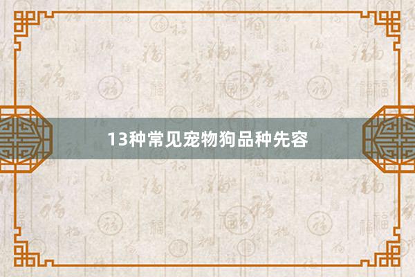 13种常见宠物狗品种先容