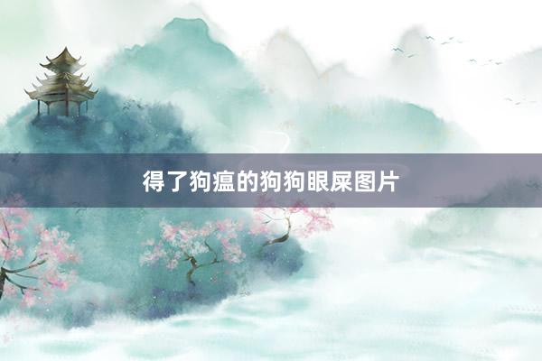 得了狗瘟的狗狗眼屎图片